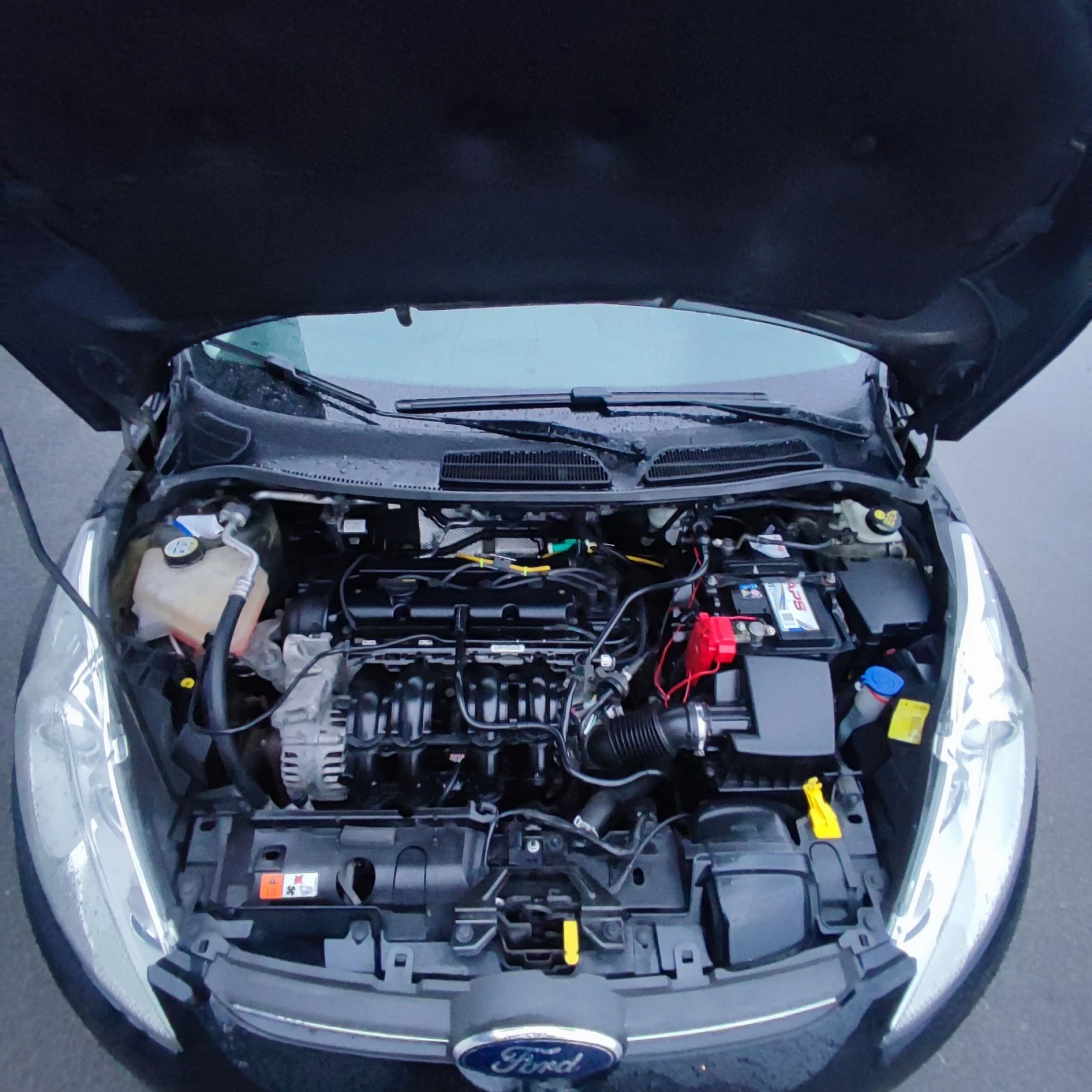 Ford Fiesta 1.25 i* TITANIUM* KLIMATRONIK* EURO 5B*  | Mobile.bg � ����������� 15