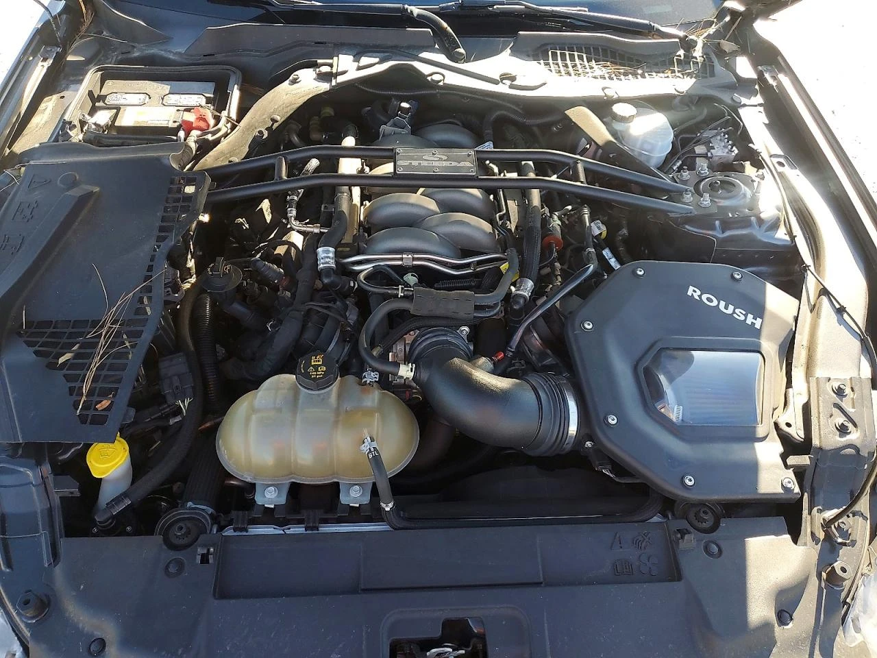 Ford Mustang GT 5.0| РЪЧНА| КОЖА| ROUSH, снимка 11 - Автомобили и джипове - 53991456