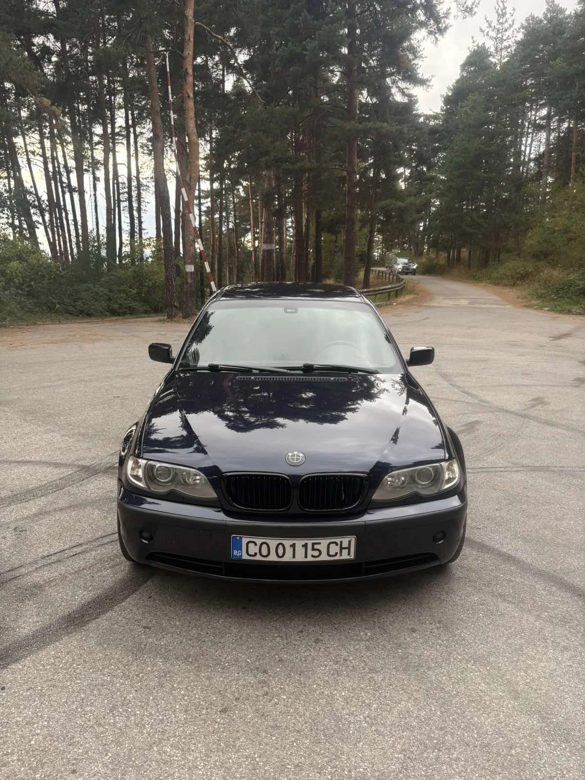BMW 330, снимка 11 - Автомобили и джипове - 56331648