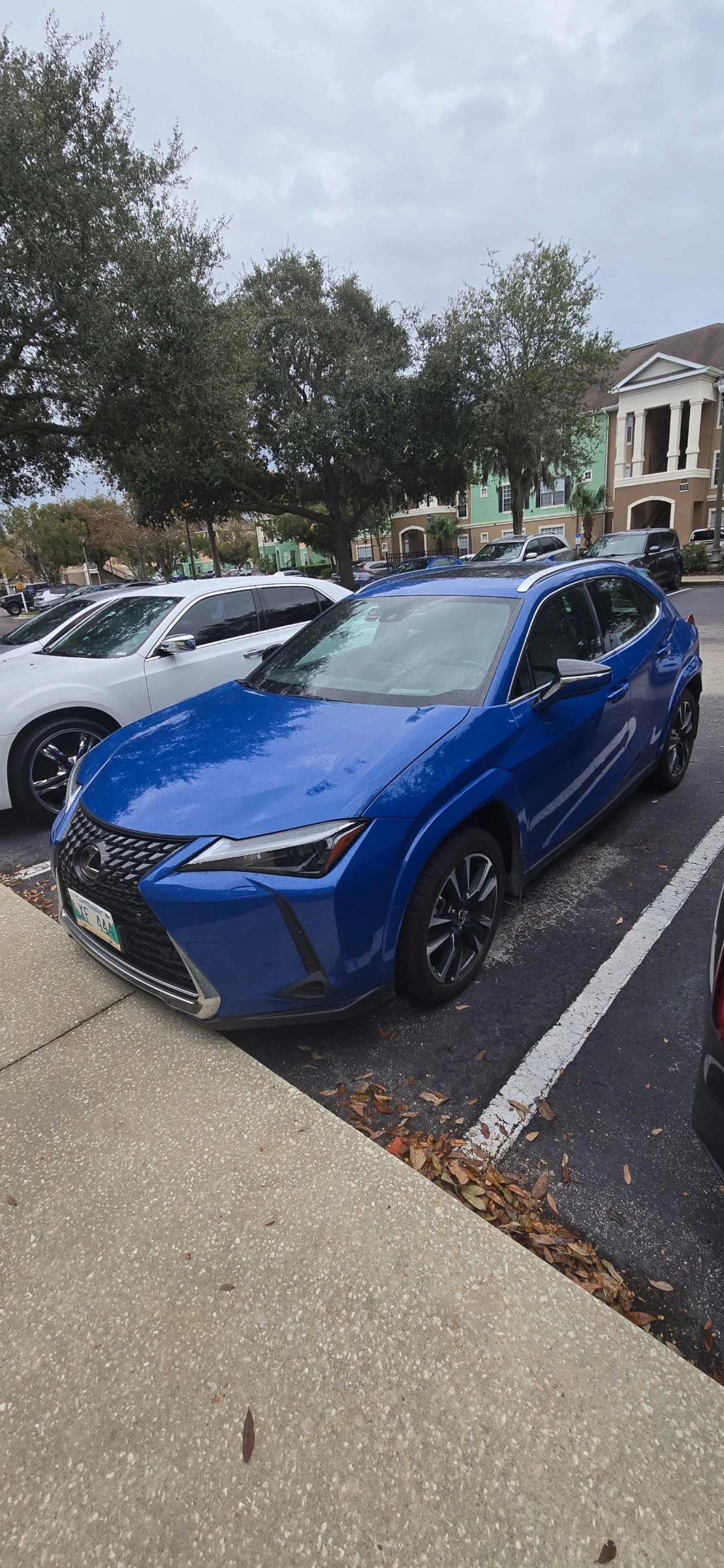Lexus UX 250h CARFAX    | Mobile.bg   1