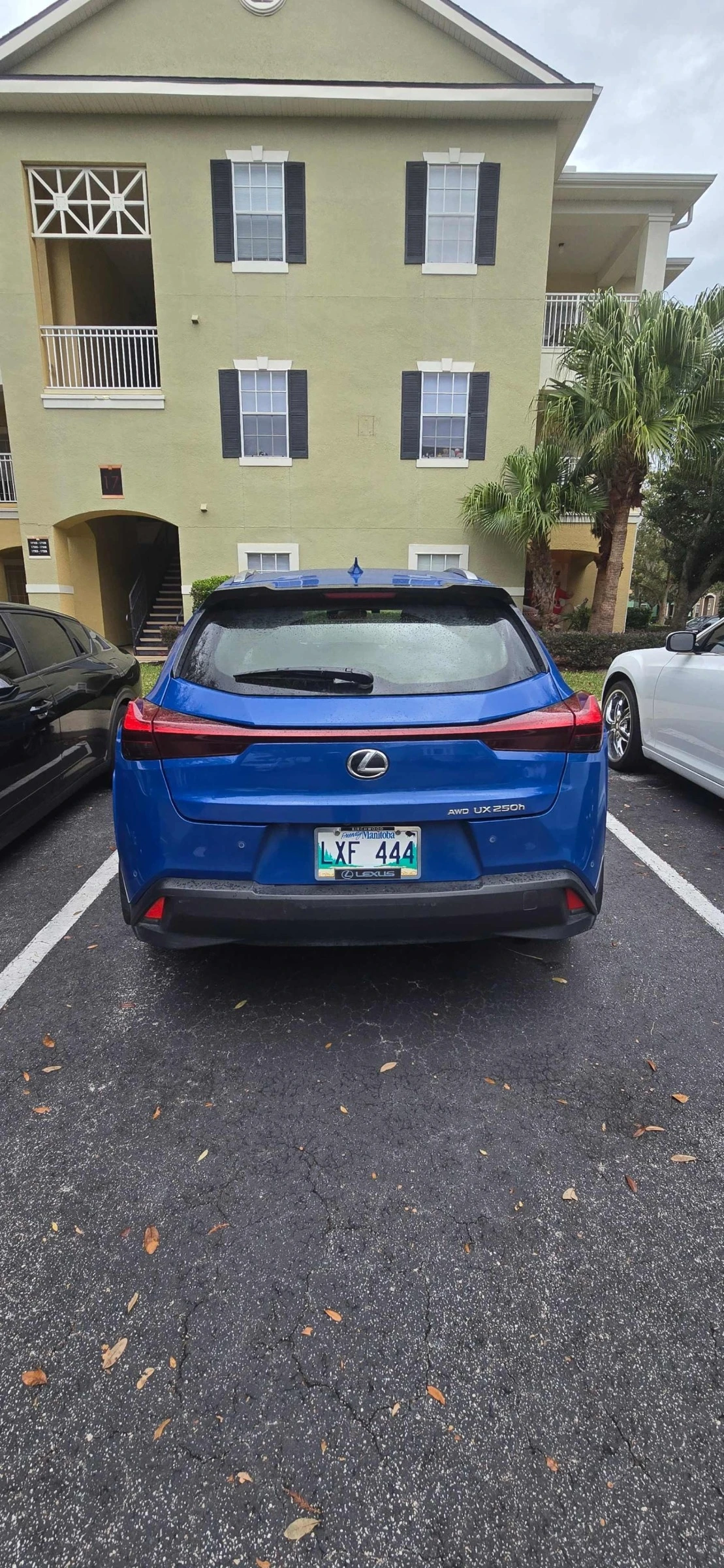 Lexus UX 250h CARFAX    | Mobile.bg   4