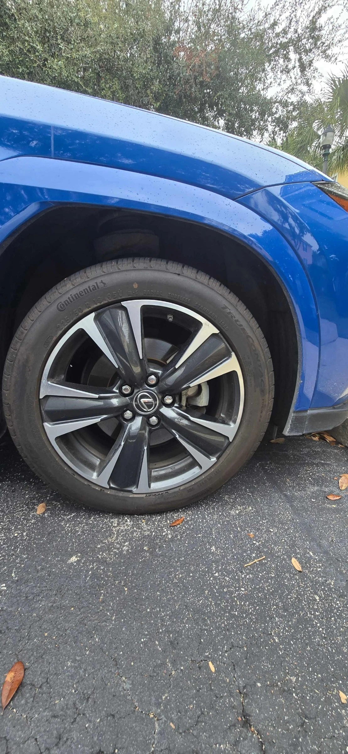 Lexus UX 250h CARFAX    | Mobile.bg   7