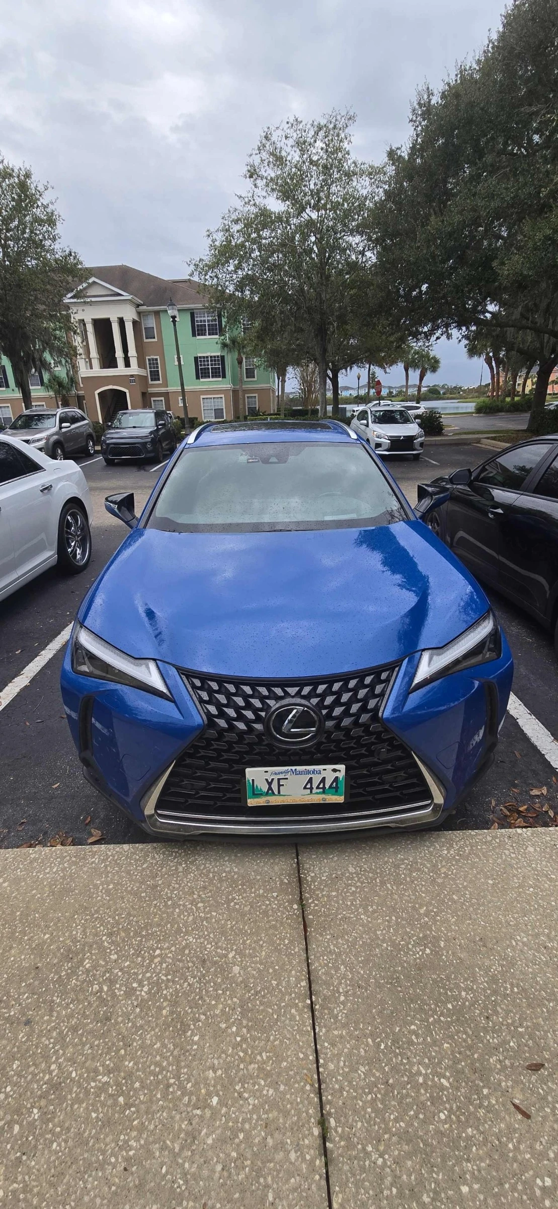 Lexus UX 250h CARFAX    | Mobile.bg   6