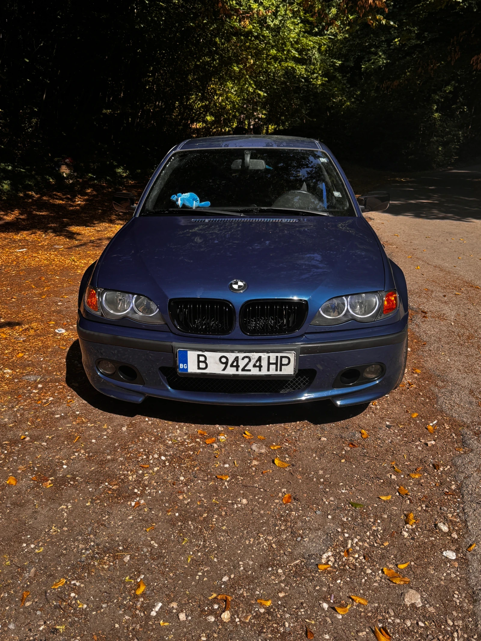 BMW 330 D - изображение 3