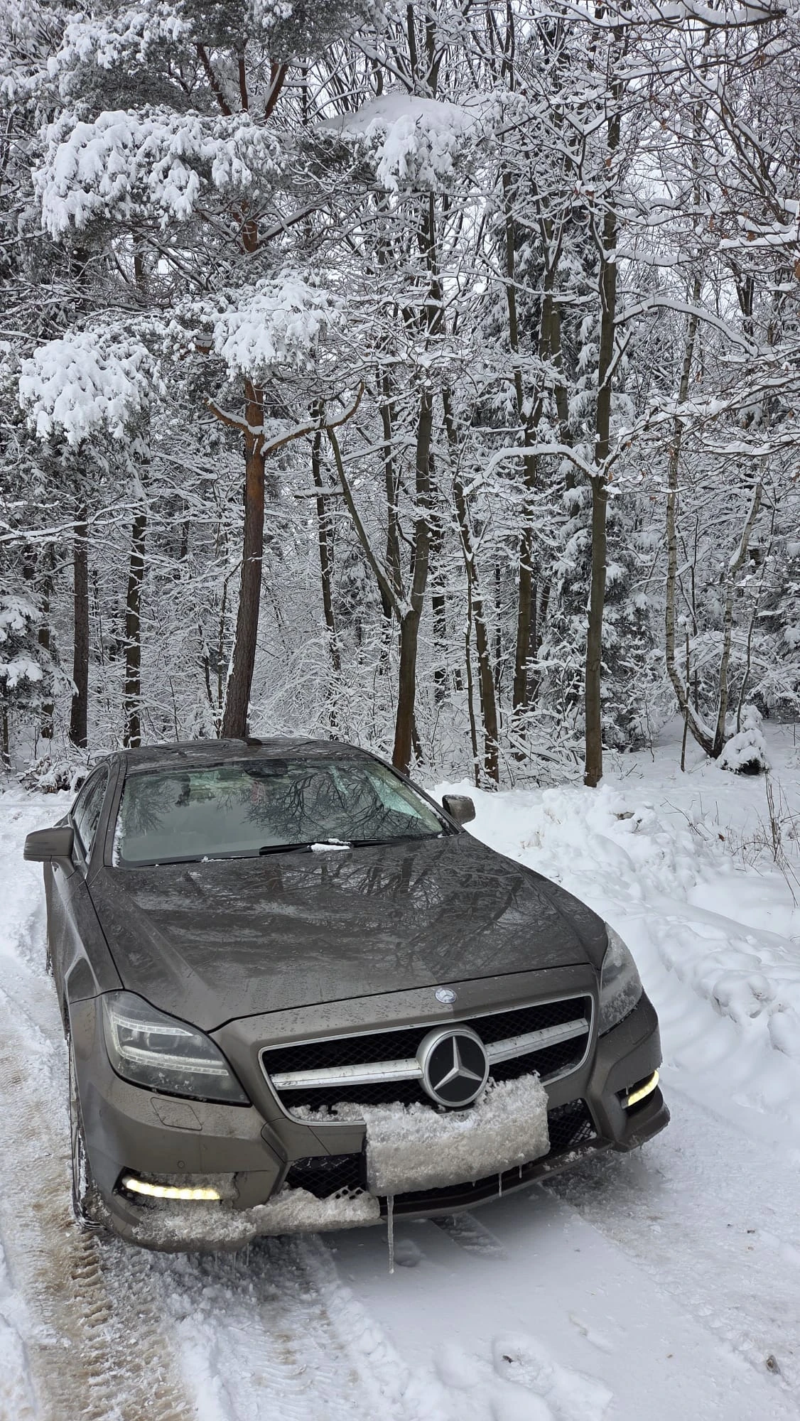 Mercedes-Benz CLS 350 cdi 4 matik AMG LED | Mobile.bg � ����������� 17