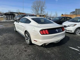 Ford Mustang * 3.7L V6 Clean Carfax Certify & Warranty Included | Mobile.bg � ����� ������ 3