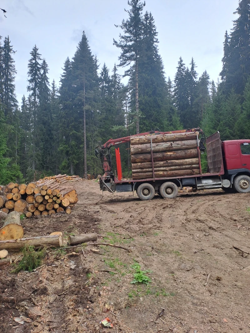 Volvo Fh 12, снимка 5 - Камиони - 52527019