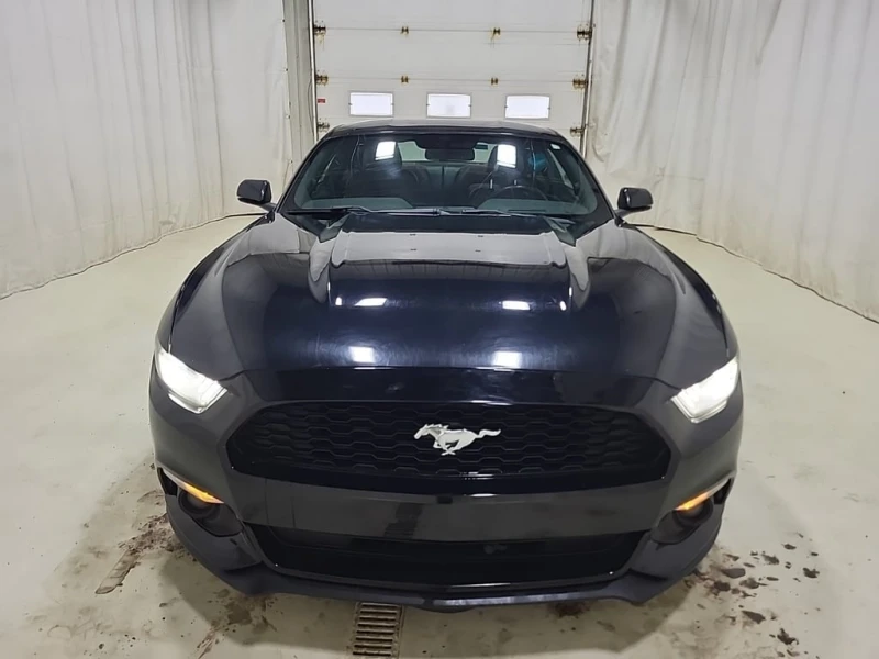 Ford Mustang  ECOBOOST PREMIUM | CARFAX, снимка 6 - Автомобили и джипове - 53444921