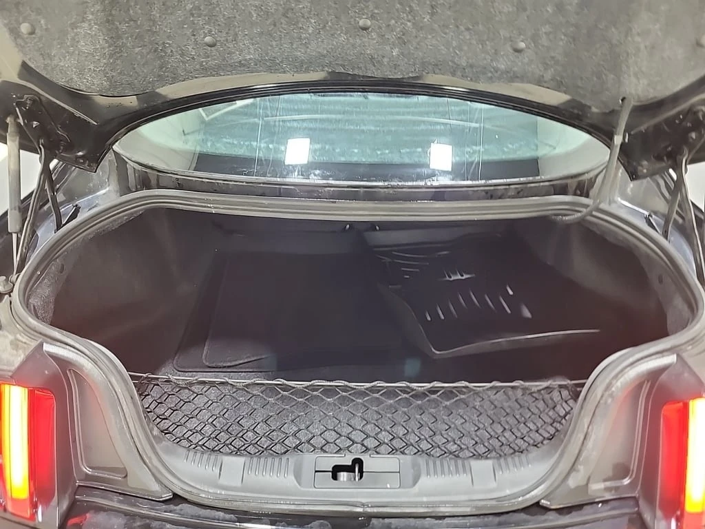 Ford Mustang  ECOBOOST PREMIUM | CARFAX | Mobile.bg � ����������� 14