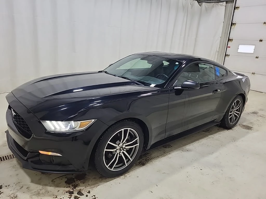 Ford Mustang  ECOBOOST PREMIUM | CARFAX | Mobile.bg � ����������� 1