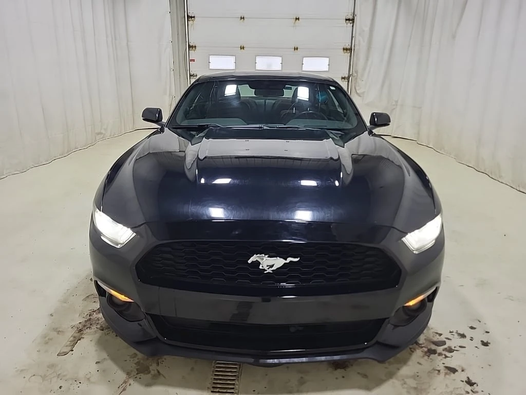 Ford Mustang  ECOBOOST PREMIUM | CARFAX - изображение 6