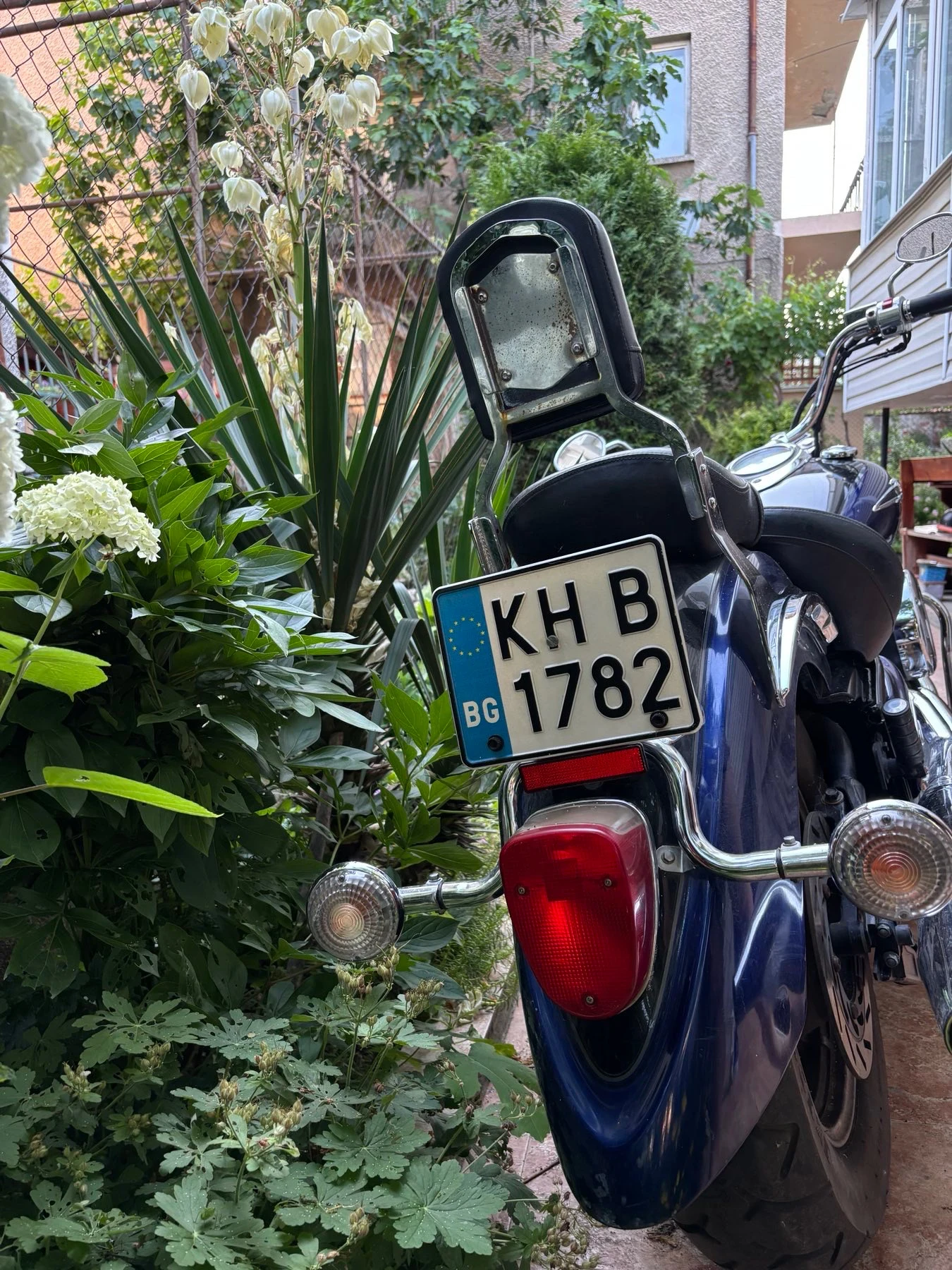 Yamaha Drag Star | Mobile.bg � ����������� 13