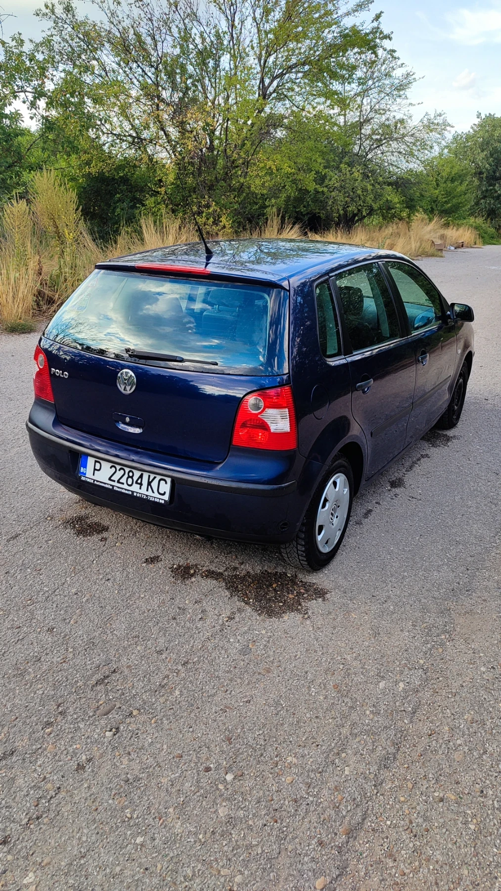 VW Polo 9n, снимка 3 - Автомобили и джипове - 55284638