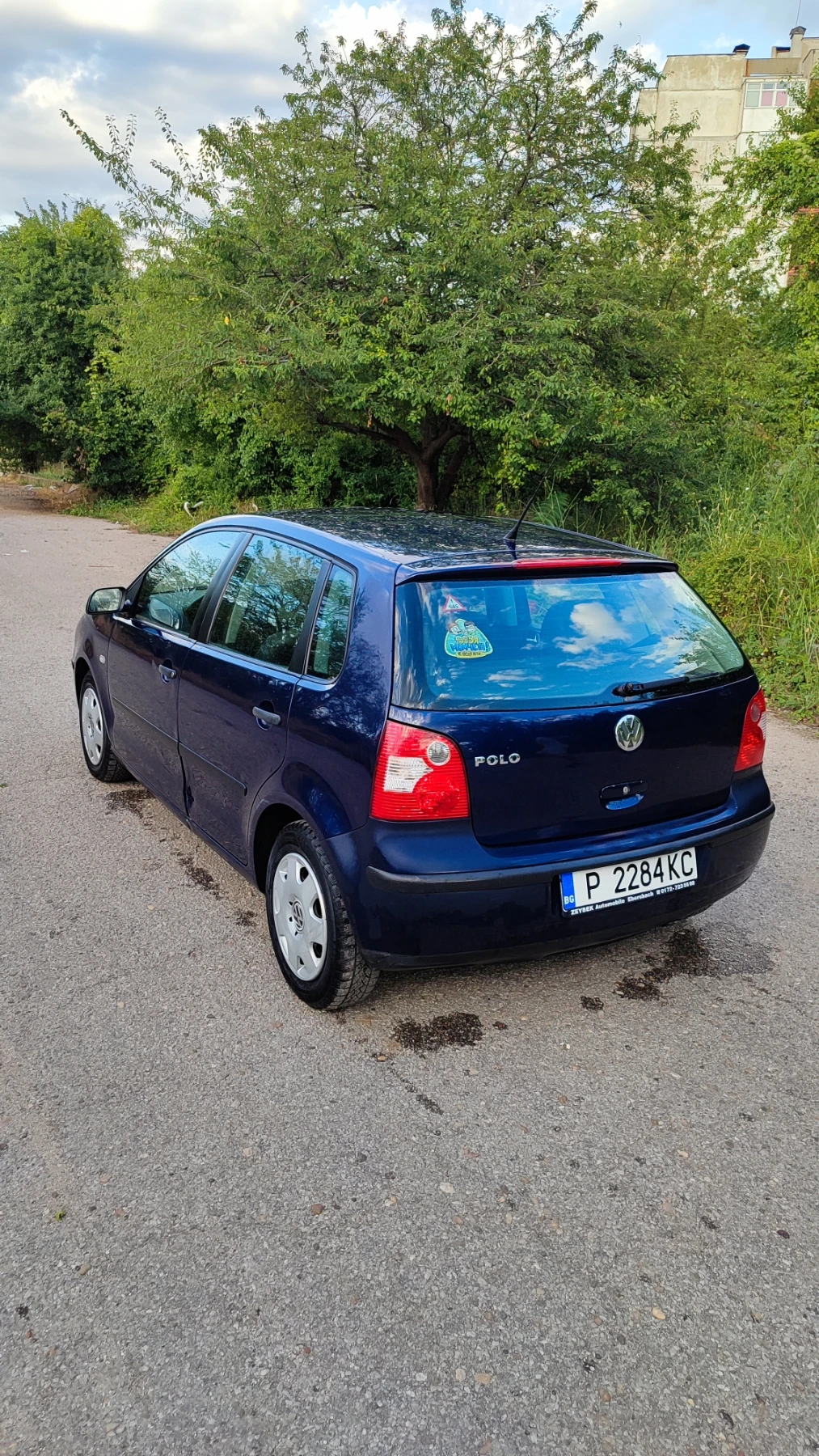 VW Polo 9n, снимка 4 - Автомобили и джипове - 55284638