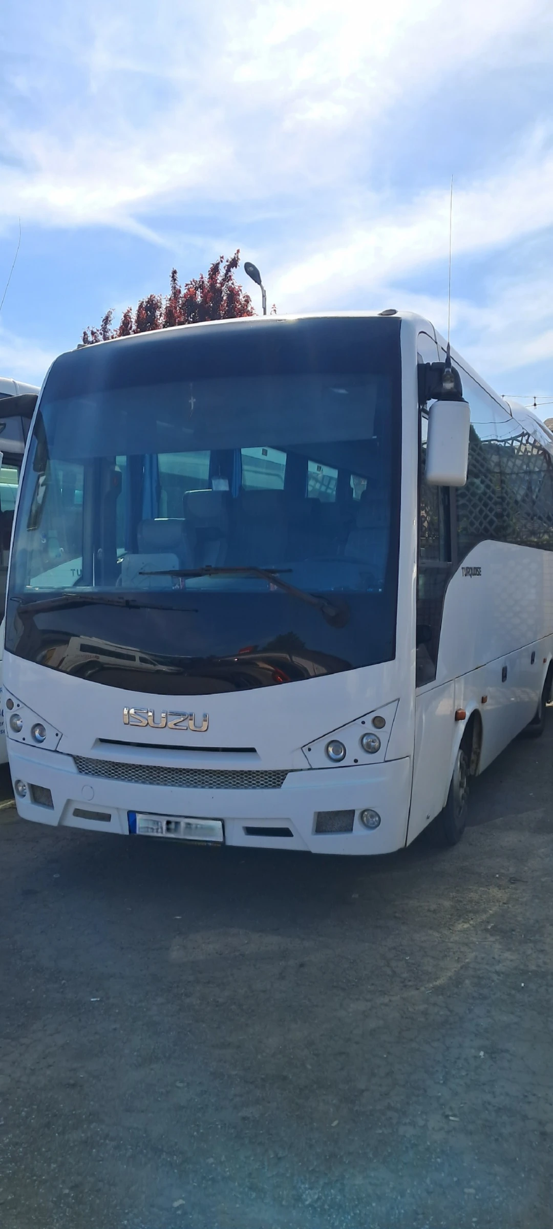 BMC 250SLF Probus 850  36 места - изображение 9