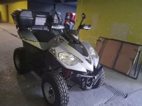  Aeon Cobra