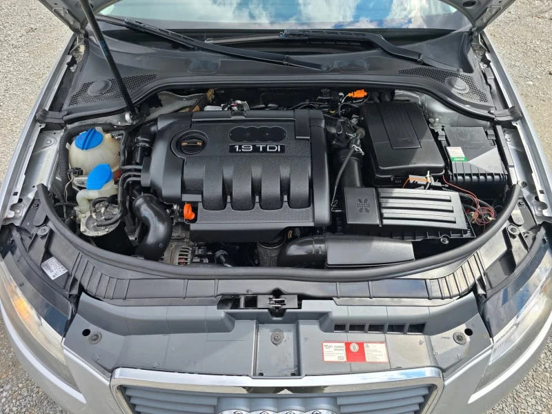 Audi A3 ФЕЙС 1.9TDI 105K.C. / НАВИ / КЛИМАТРОНИК, снимка 13 - Автомобили и джипове - 49761975