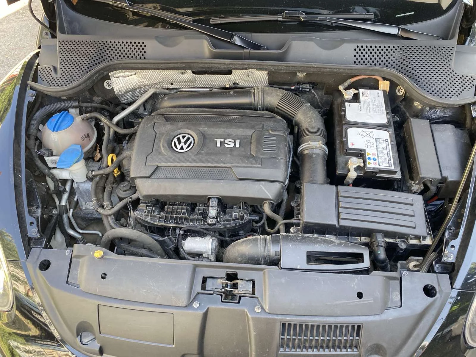 VW Beetle   | Mobile.bg   17