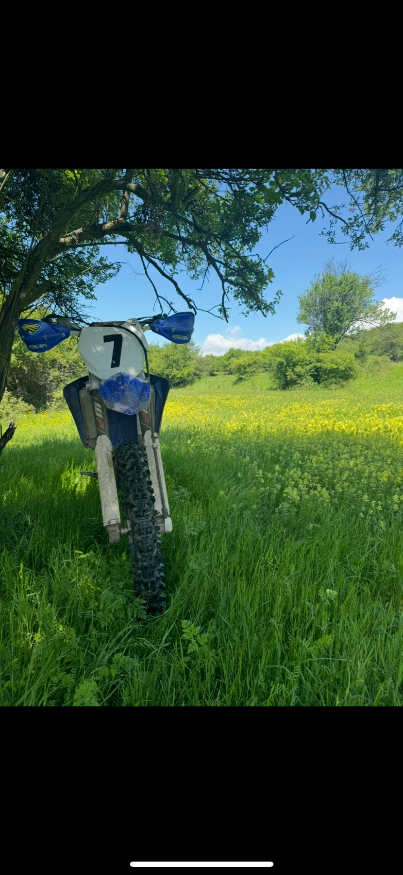 Yamaha Yfz | Mobile.bg   1