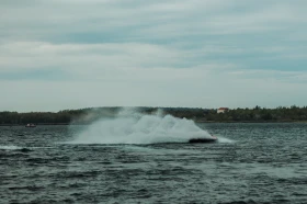 Джет Bombardier Sea Doo Seadoo RXP300rs, снимка 8
