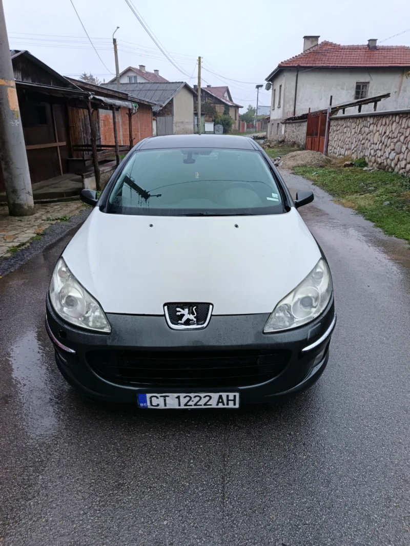 Peugeot 407 2.0 136к.с, снимка 2 - Автомобили и джипове - 52101800