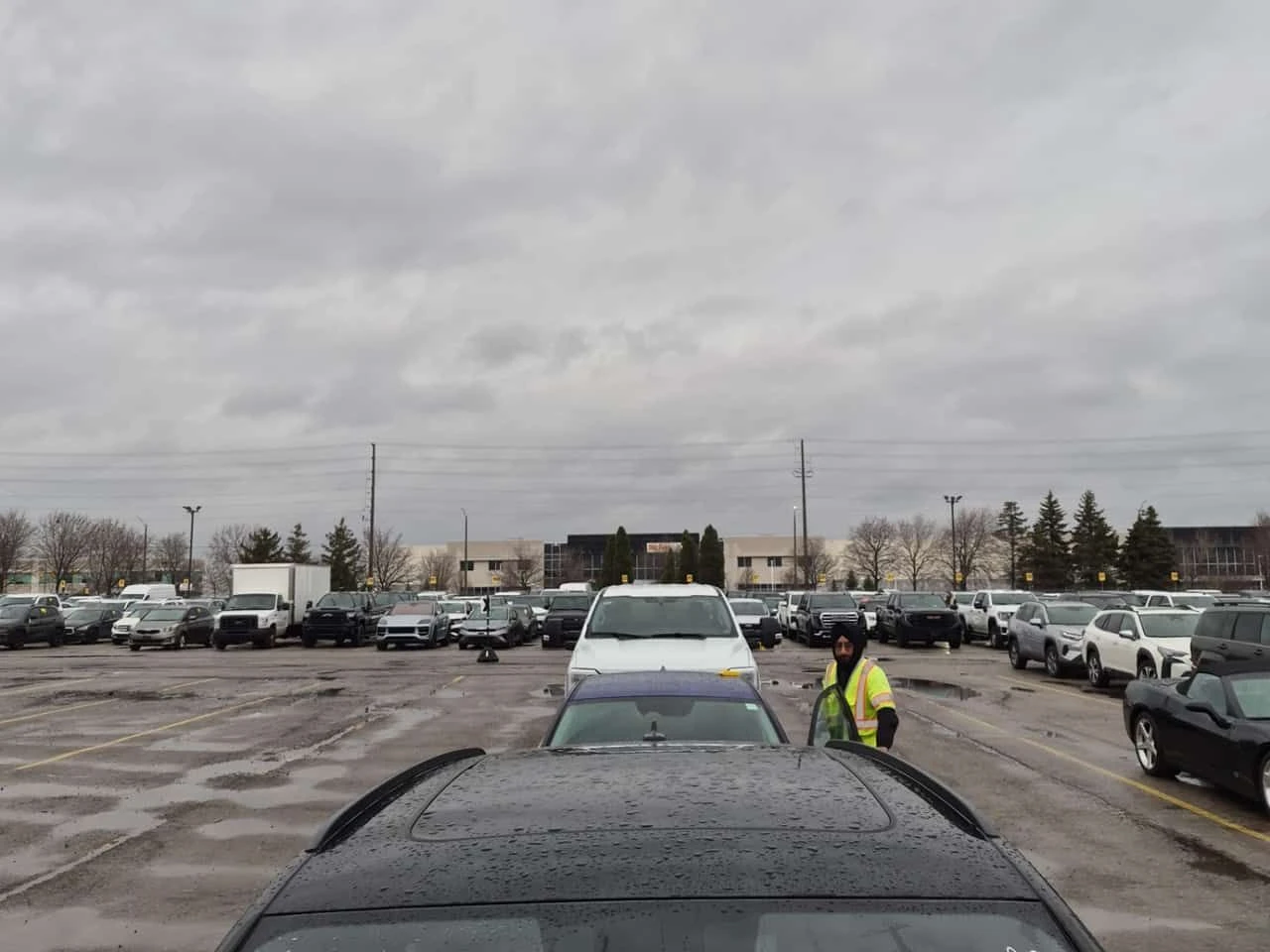 Audi Q5 * PROGRESSIV * S-LINE* MATRIX* DISTRONIC* PANO* , снимка 7 - Автомобили и джипове - 54184064