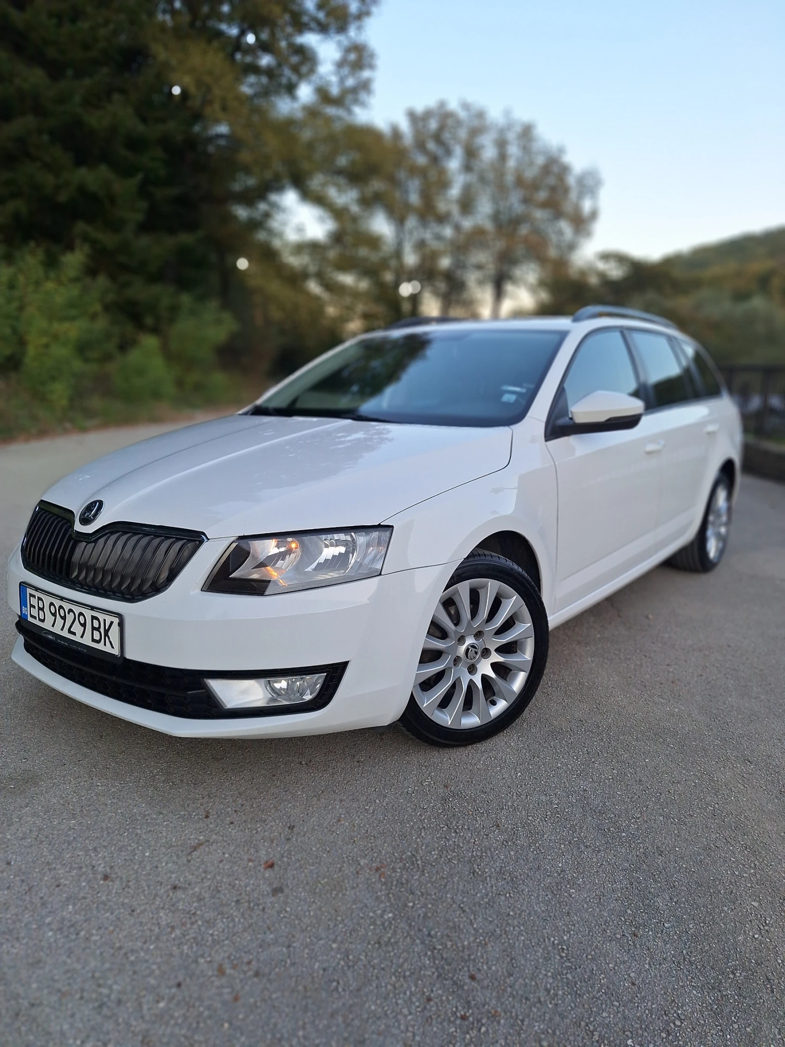 Skoda Octavia 1.6 105 кс. DSG - изображение 2