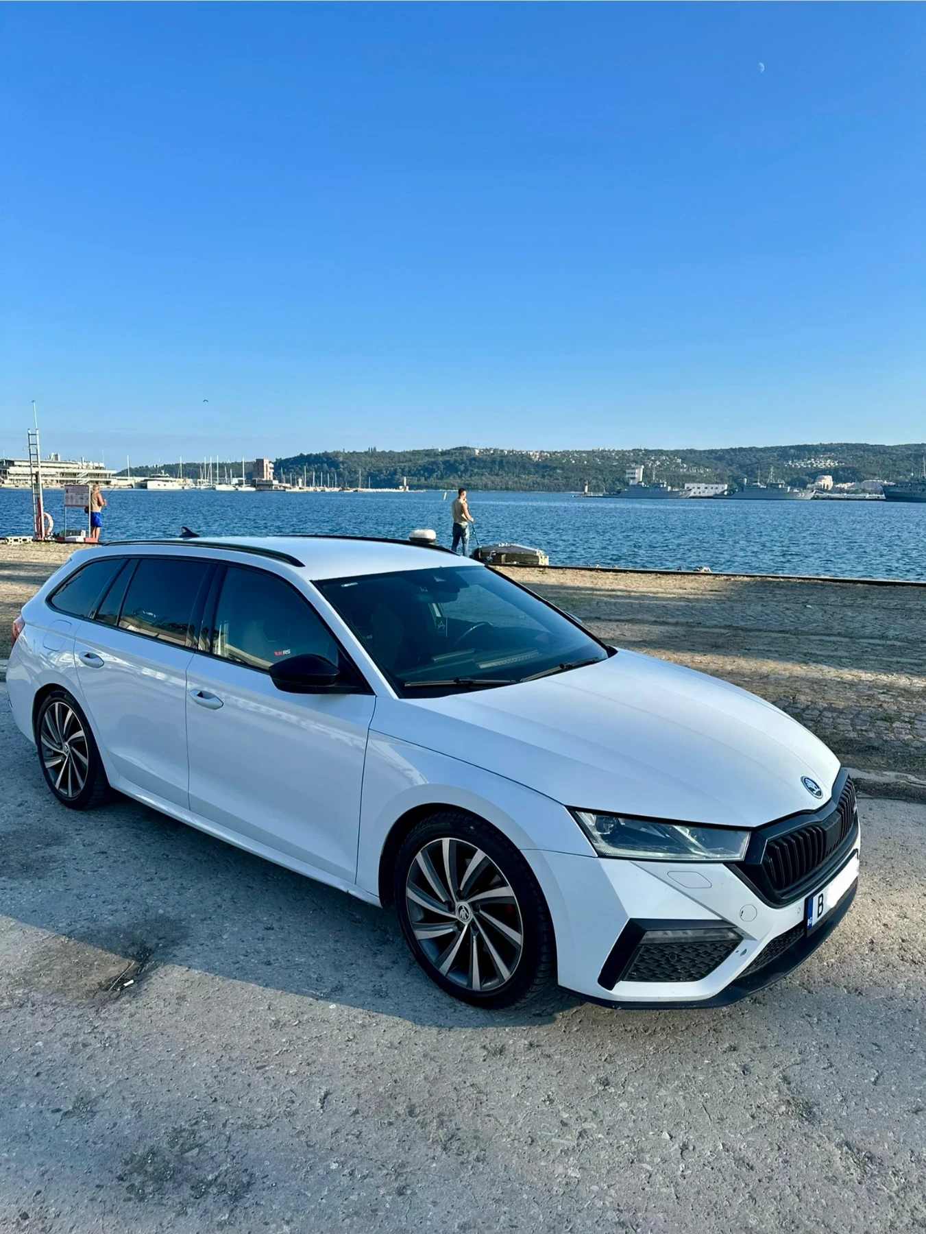 Skoda Octavia VRS 2.0 TDI DSG 4x4 200 PS Head Up Canton Digital, снимка 3 - Автомобили и джипове - 55730189