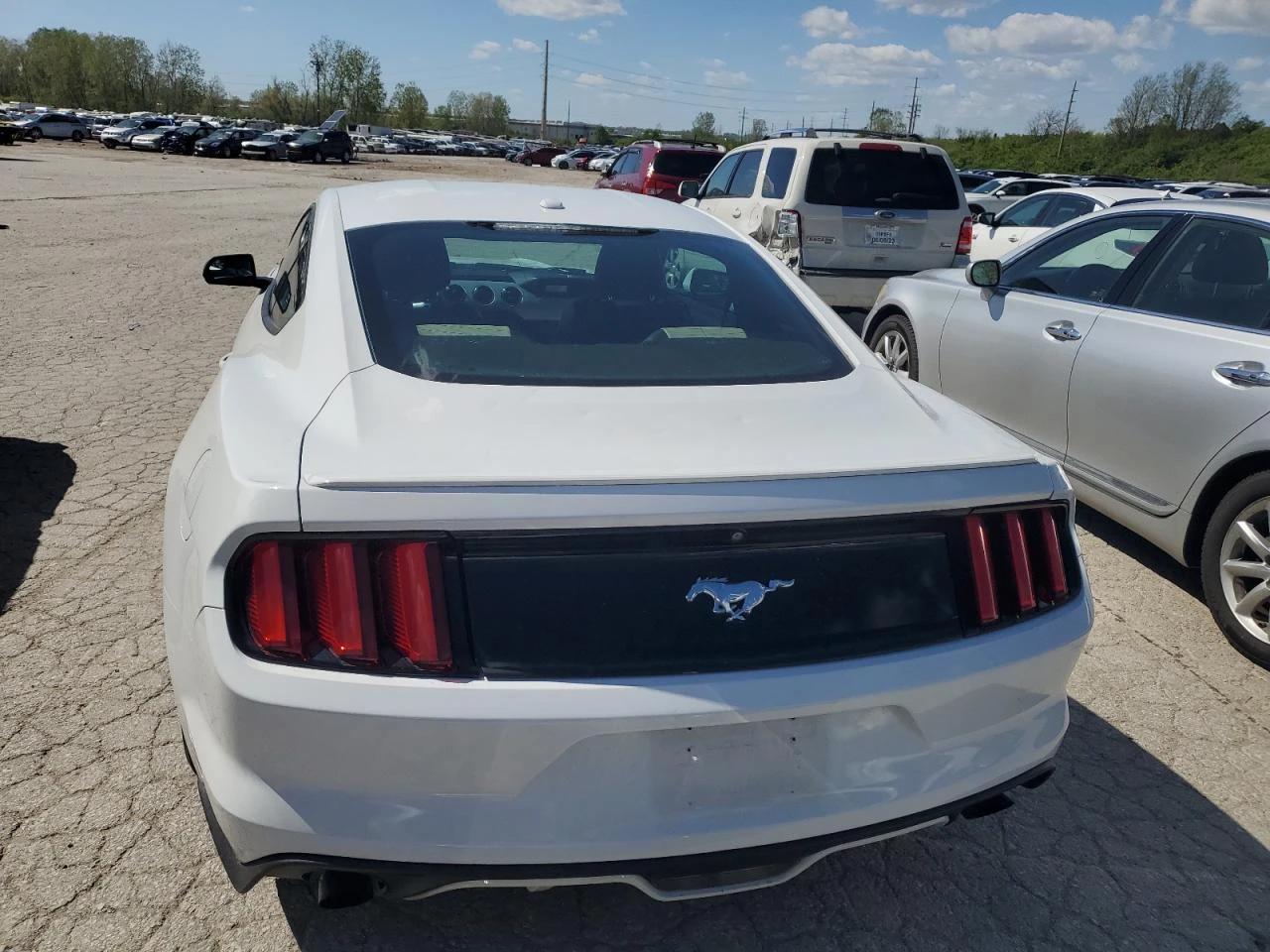 Ford Mustang 2.3i EcoBoost/Ел.Седалки/Подгрев/Серв.история - изображение 6