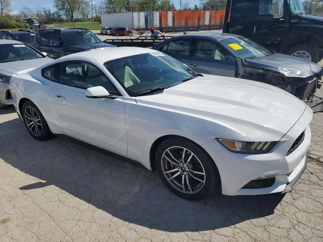 Ford Mustang 2.3i EcoBoost/Ел.Седалки/Подгрев/Серв.история - изображение 4