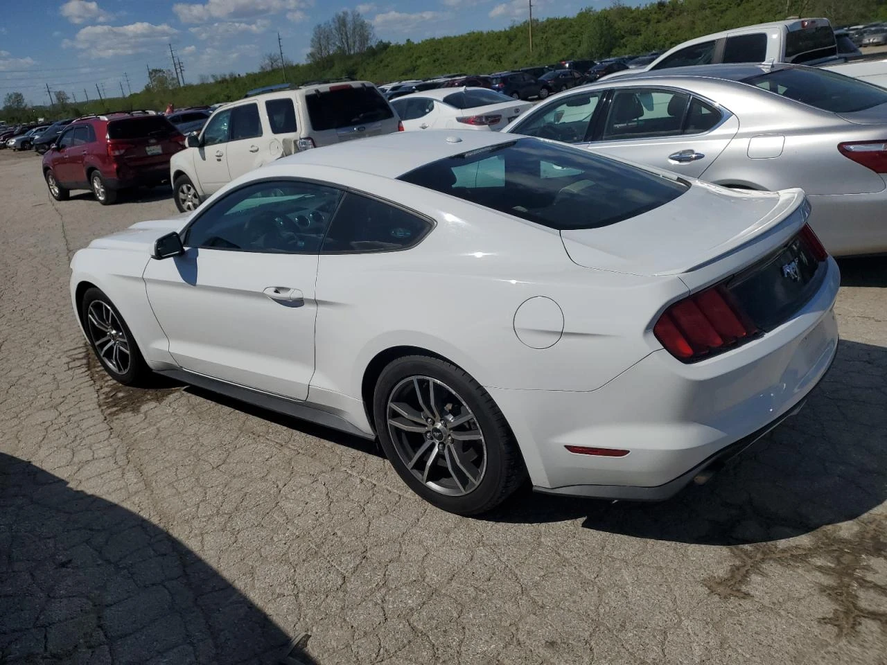 Ford Mustang 2.3i EcoBoost/Ел.Седалки/Подгрев/Серв.история - изображение 2