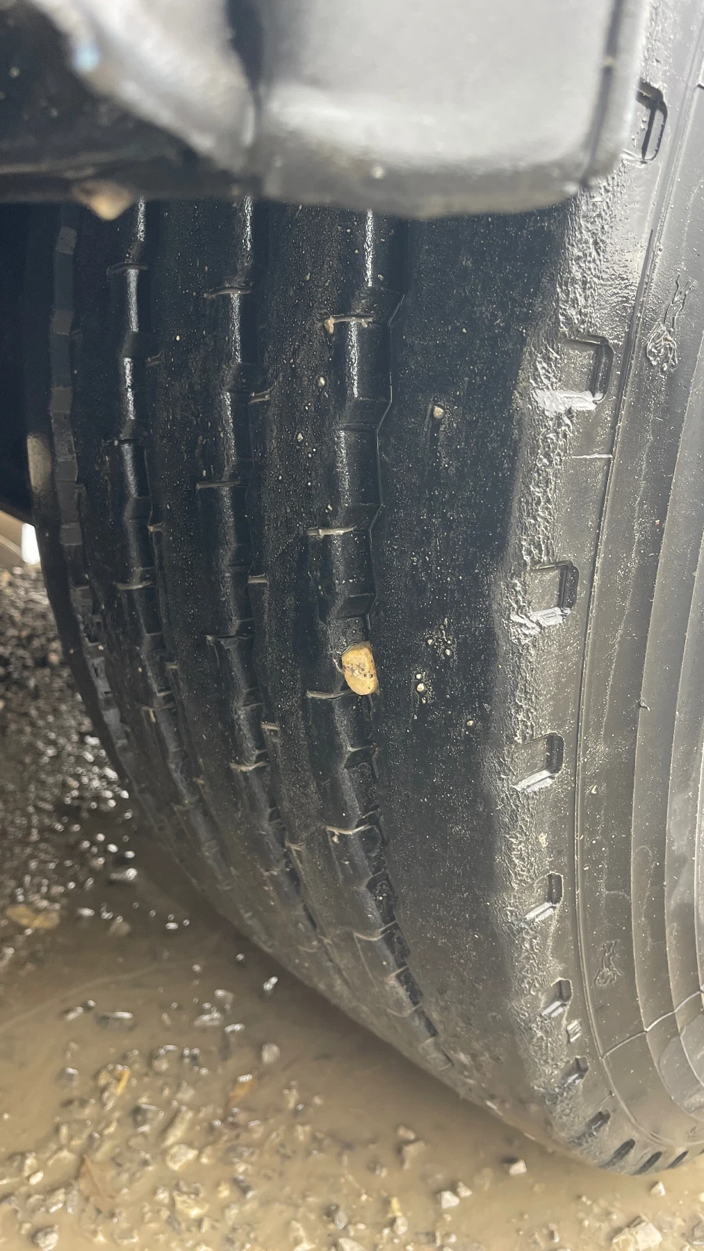  Schwarzmuller J 203 | Mobile.bg   7