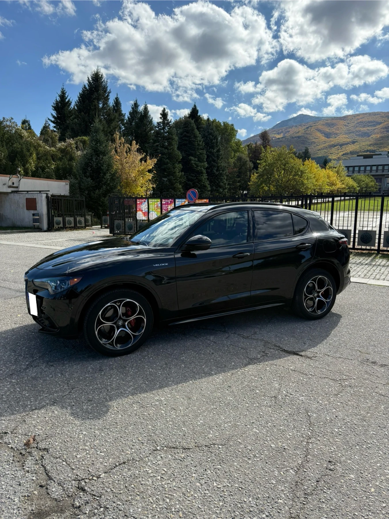 Alfa Romeo Stelvio Veloce 2.0 Q4 - изображение 3