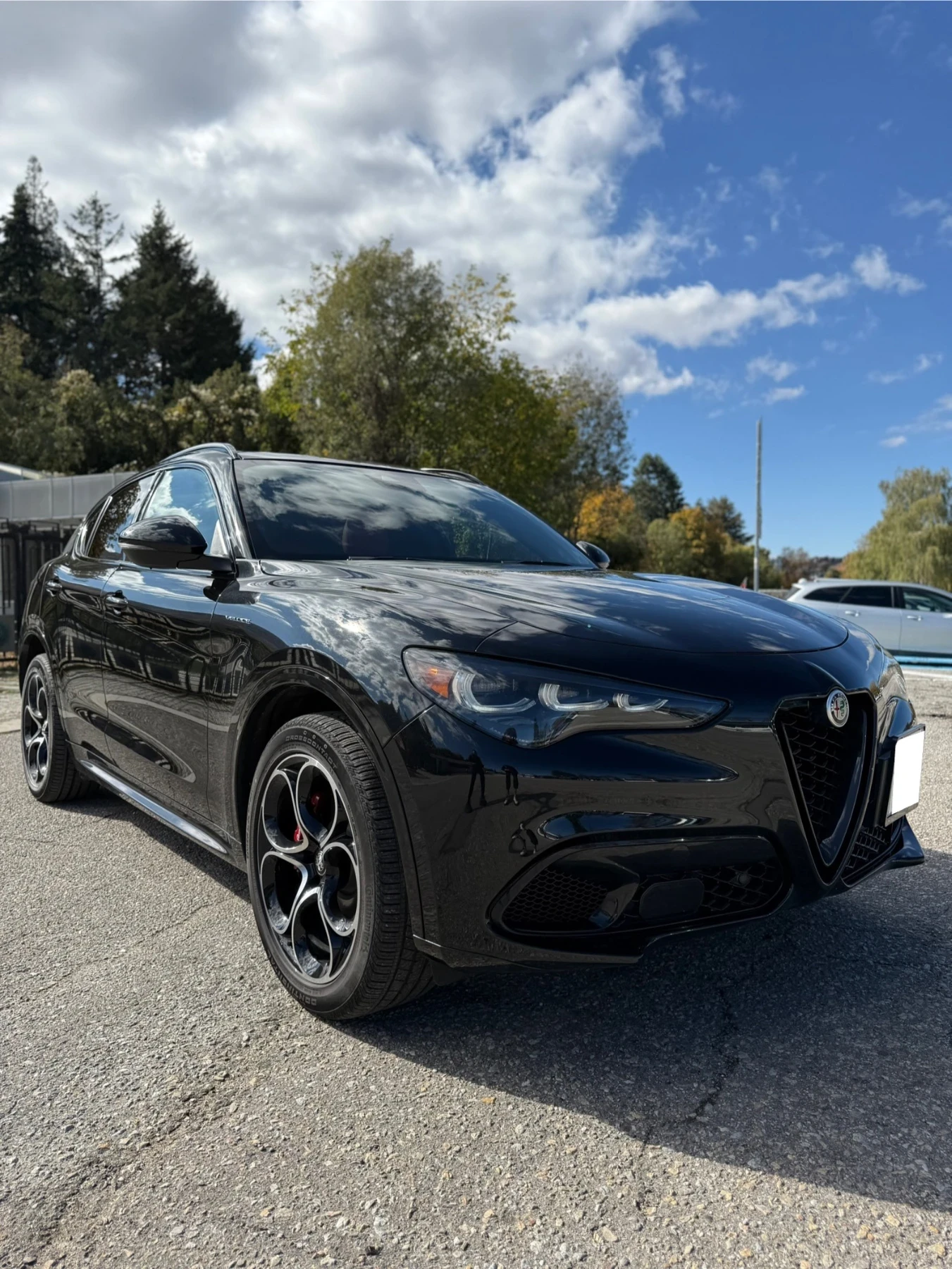 Alfa Romeo Stelvio Veloce 2.0 Q4 - изображение 7