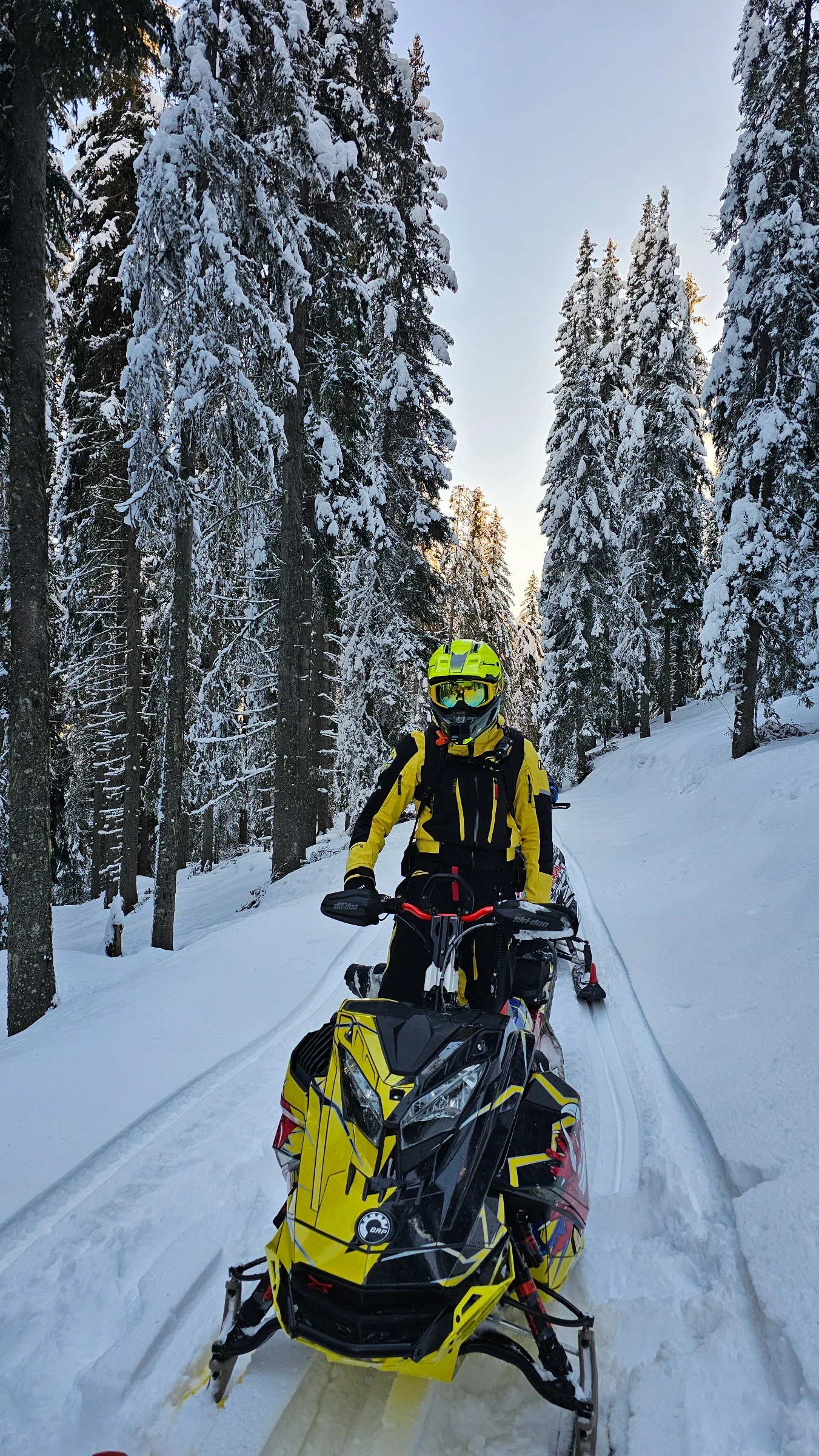 Ski-Doo Summit Turbo 850 - изображение 2