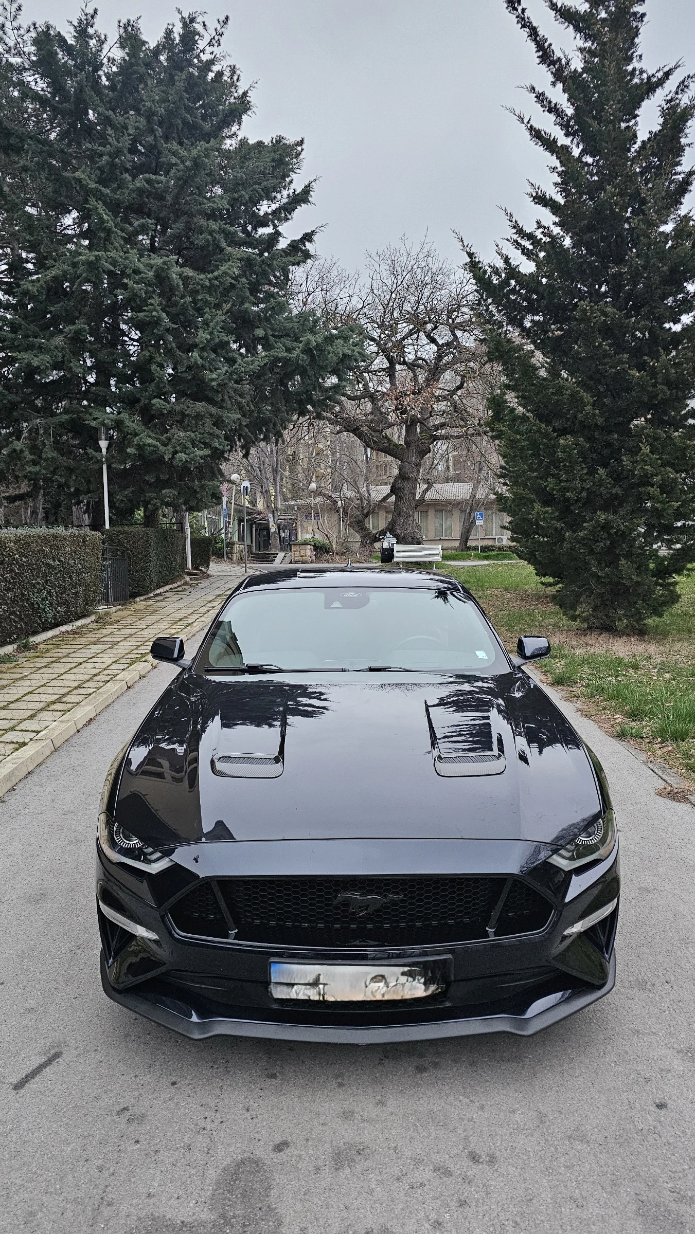 Ford Mustang GT S550, снимка 3 - Автомобили и джипове - 54029459