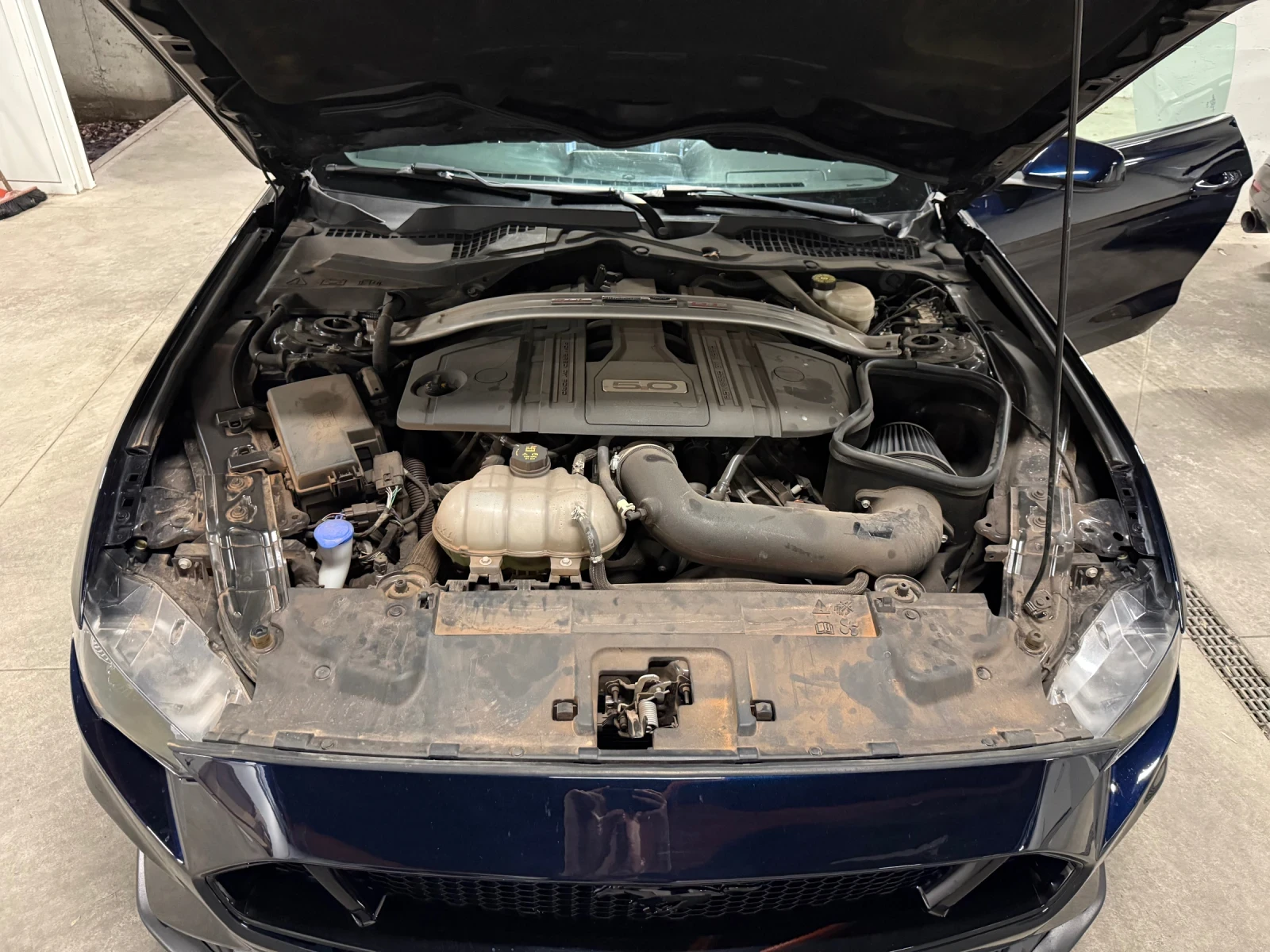 Ford Mustang GT S550 | Mobile.bg   11