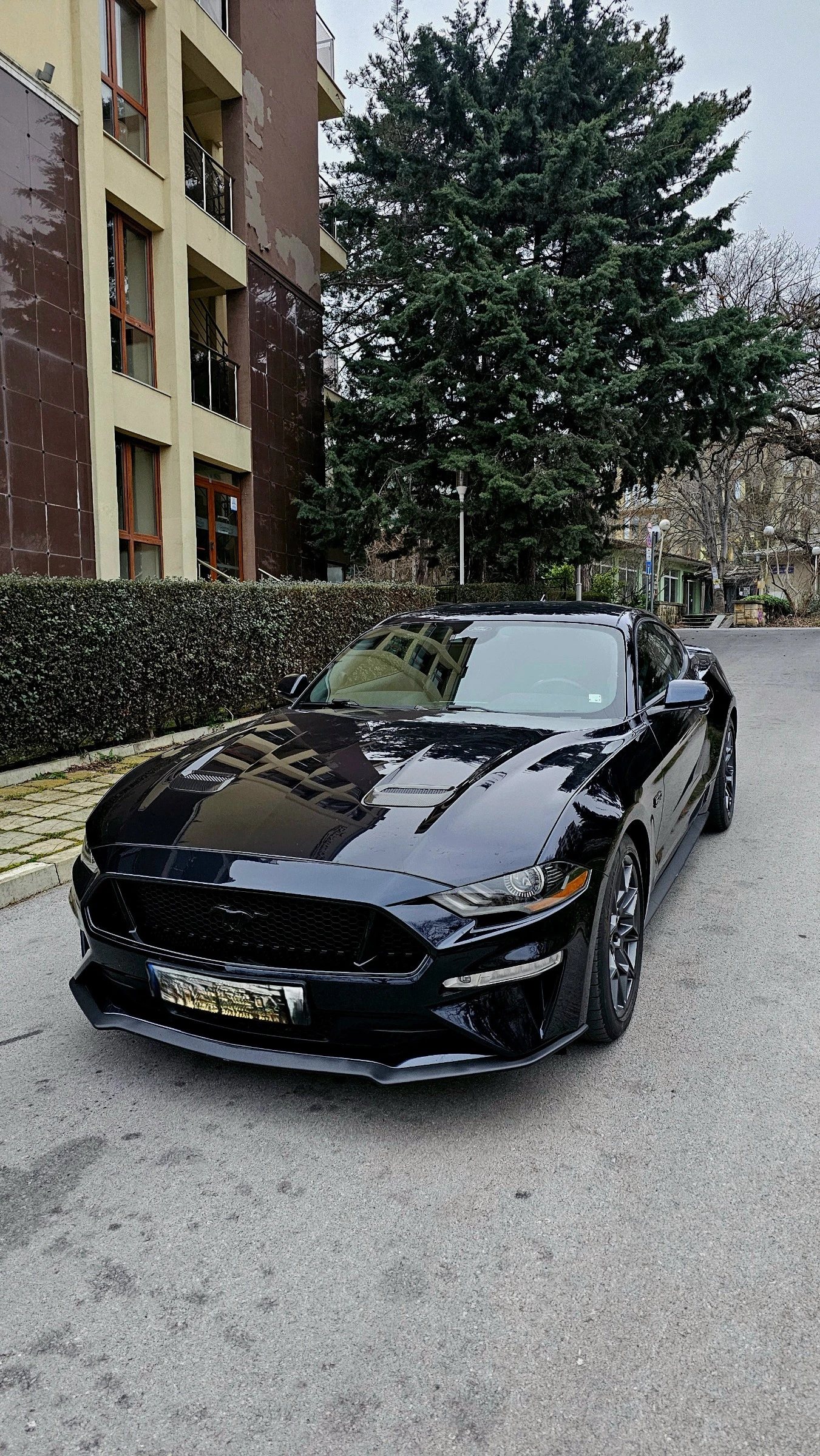 Ford Mustang GT S550, снимка 6 - Автомобили и джипове - 54029459