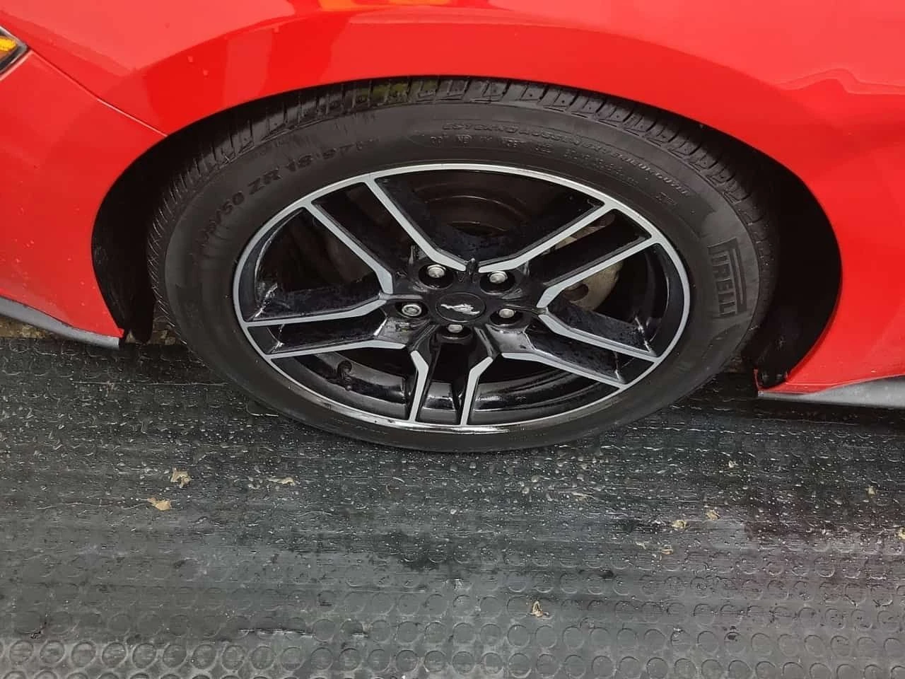 Ford Mustang ECOBOOST  CARFAX, снимка 6 - Автомобили и джипове - 54341482