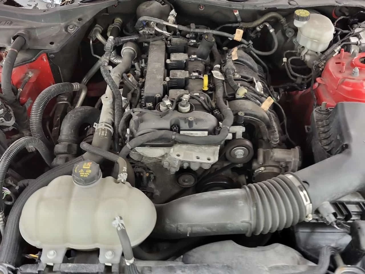 Ford Mustang ECOBOOST  CARFAX, снимка 15 - Автомобили и джипове - 54341482