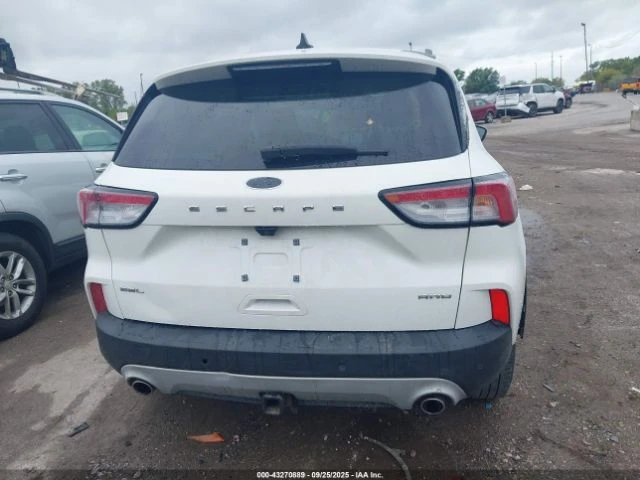 Ford Escape SEL - изображение 5