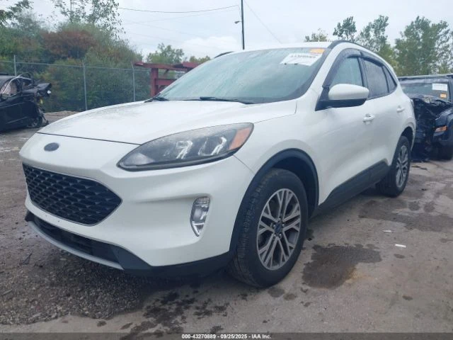 Ford Escape SEL - изображение 3