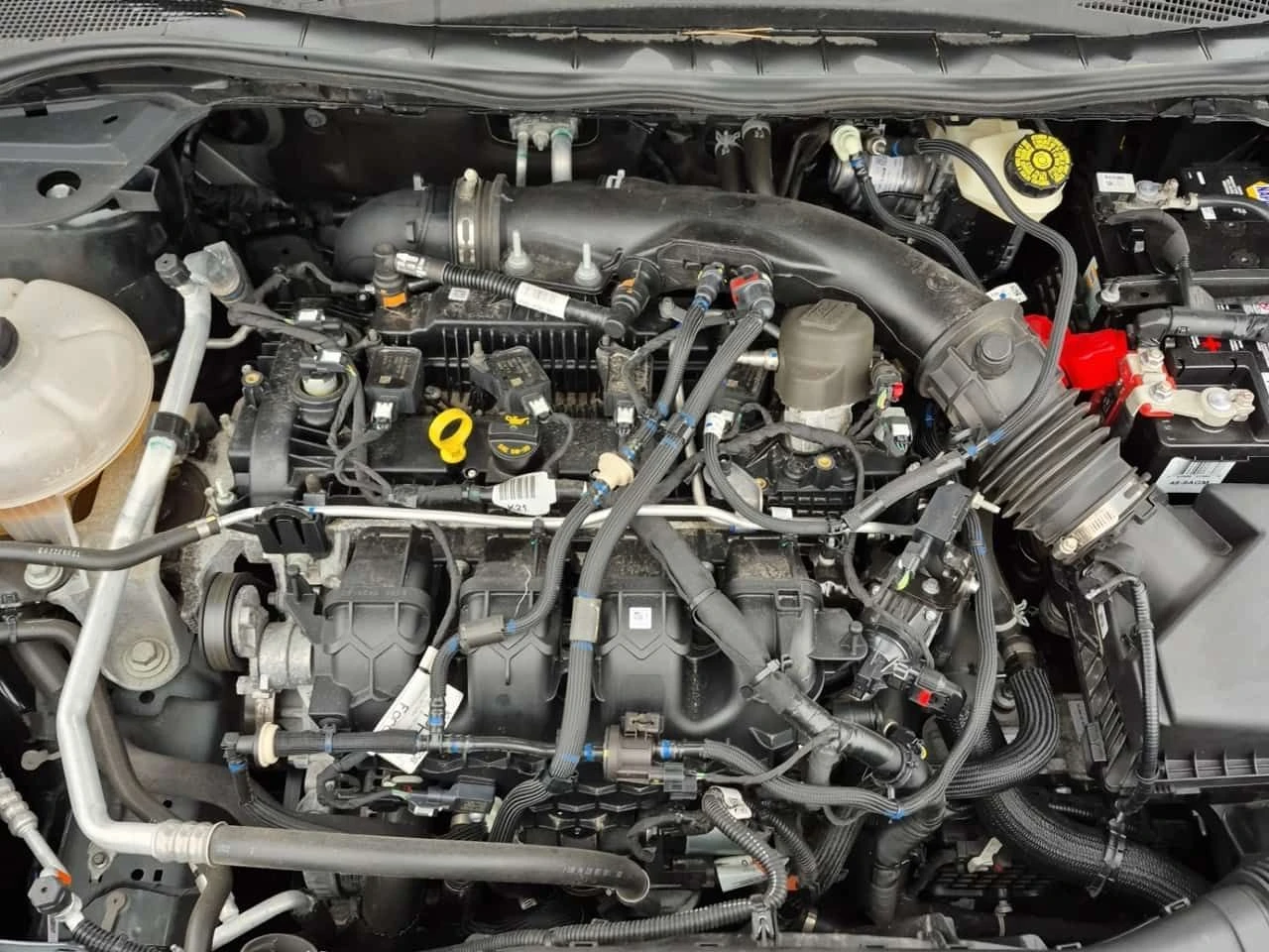 Ford Escape SEL| ALCANTARA| PANORAMA| 2 КЛЮЧА| , снимка 7 - Автомобили и джипове - 53988881