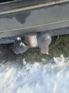 VW Golf GL - 770 € / 1505.99 лв. - 52228540 8