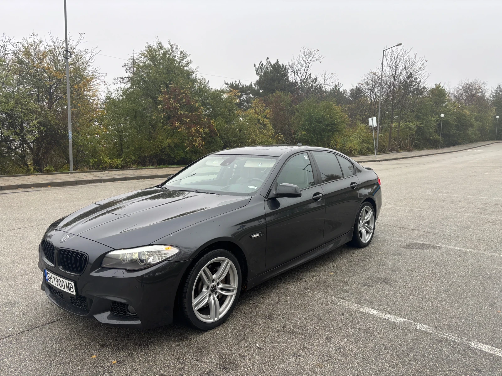BMW 530, снимка 5 - Автомобили и джипове - 53742717