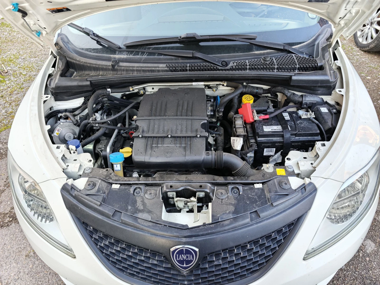 Lancia Ypsilon 1.2i � �������� ����� ���������  | Mobile.bg � ����������� 14