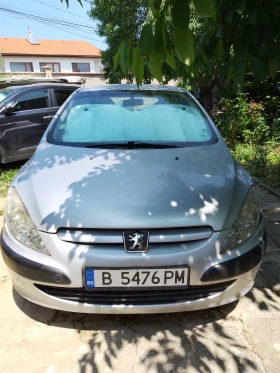  Peugeot 307