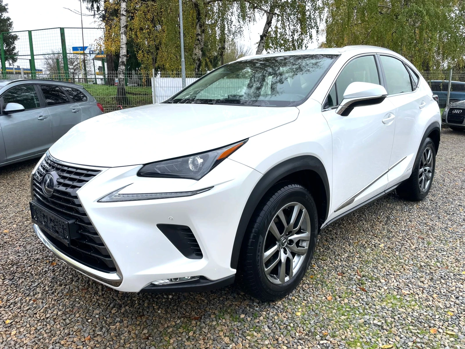 Lexus NX 300h /HYBRID-LPG, снимка 1