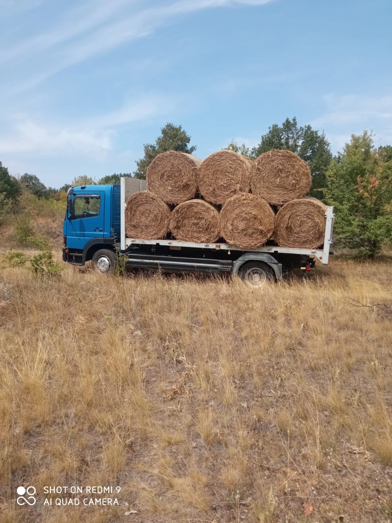 Mercedes-Benz Atego, снимка 2 - Камиони - 54761881