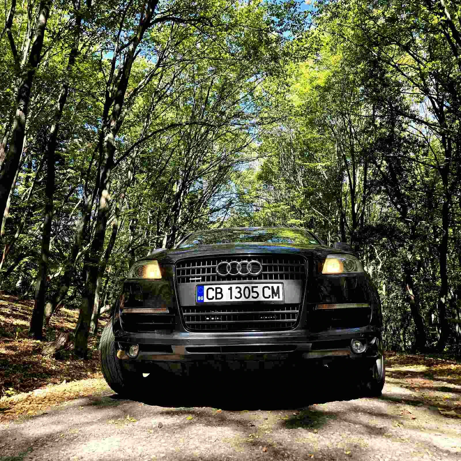 Audi Q7 3.0D S-line 239кс - изображение 10